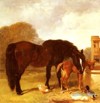 Cheval et poulain d’abreuvement à un creux hareng Snr John Frederick Peinture à l'huile